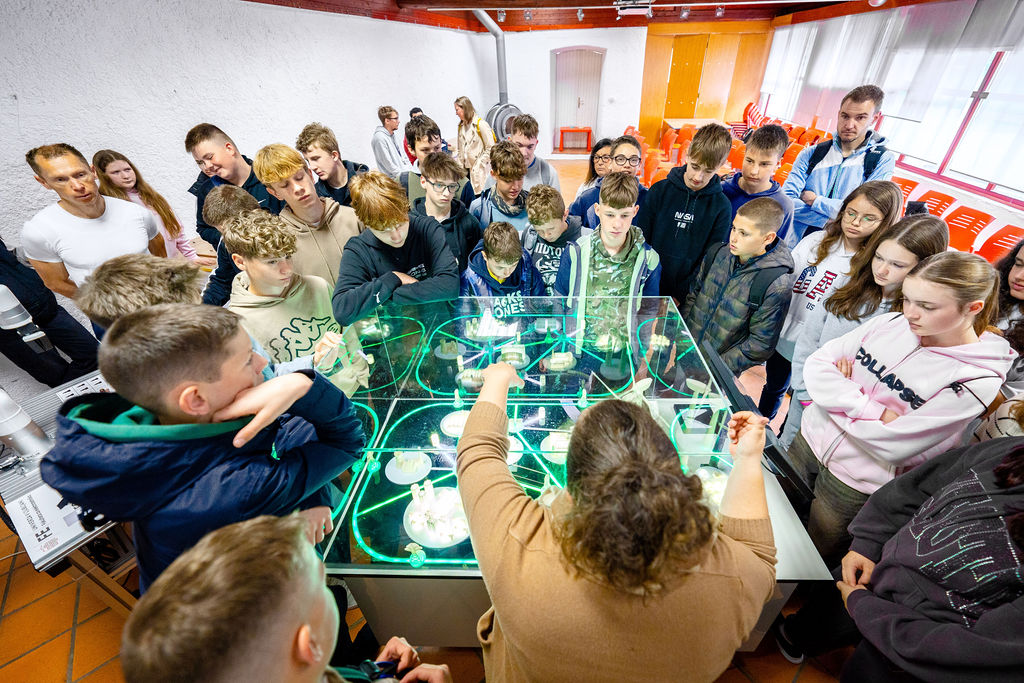 Dnevi elektrotehnike v Bistri 2025